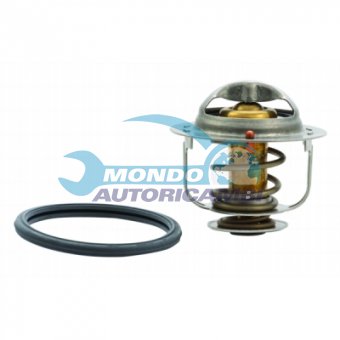 TERMOSTATO, TERMOINTERRUTTORE