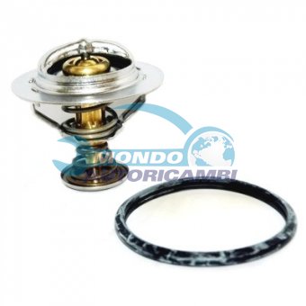 TERMOSTATO, TERMOINTERRUTTORE