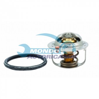 TERMOSTATO, TERMOINTERRUTTORE