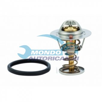 TERMOSTATO, TERMOINTERRUTTORE