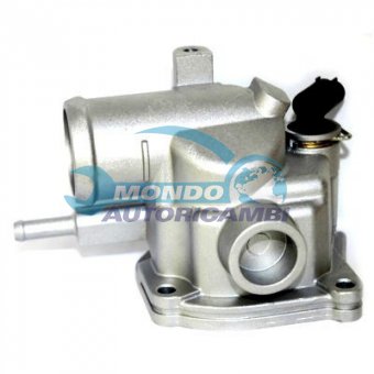 TERMOSTATO, TERMOINTERRUTTORE