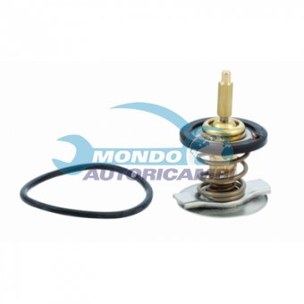 TERMOSTATO, TERMOINTERRUTTORE