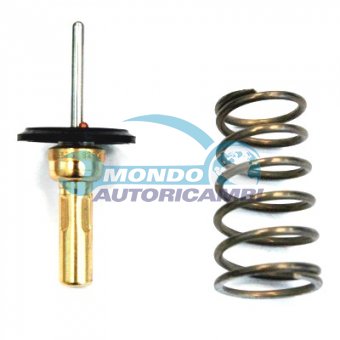 TERMOSTATO, TERMOINTERRUTTORE