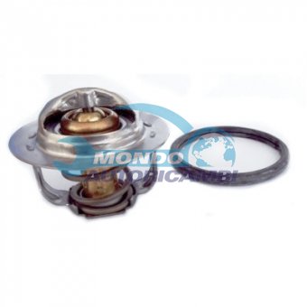 TERMOSTATO, TERMOINTERRUTTORE