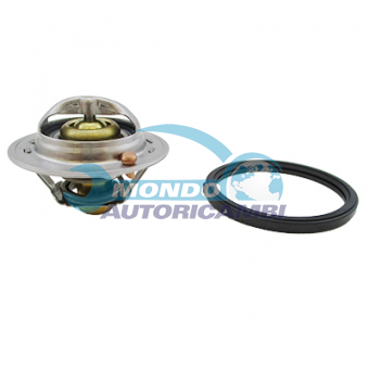 TERMOSTATO, TERMOINTERRUTTORE