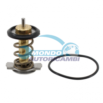 TERMOSTATO, TERMOINTERRUTTORE