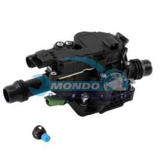 TERMOSTATO, TERMOINTERRUTTORE