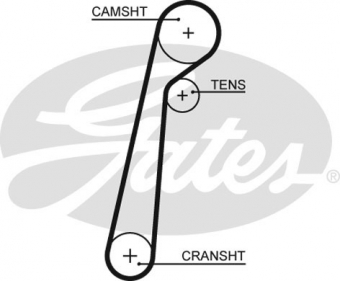 CINGHIA DISTRIBUZIONE
