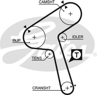 CINGHIA DISTRIBUZIONE