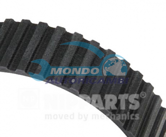 CINGHIA DISTRIBUZIONE