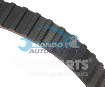 CINGHIA DISTRIBUZIONE