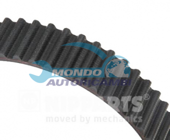 CINGHIA DISTRIBUZIONE