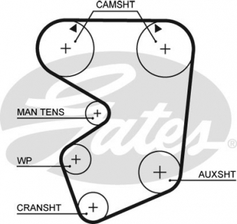 CINGHIA SERVIZI AUSILIARI