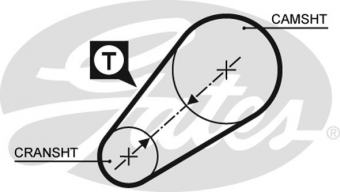 CINGHIA SERVIZI AUSILIARI
