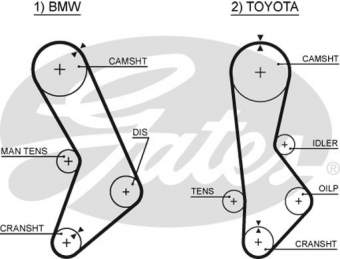 CINGHIA SERVIZI AUSILIARI