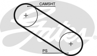 CINGHIA SERVIZI AUSILIARI