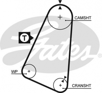 CINGHIA SERVIZI AUSILIARI
