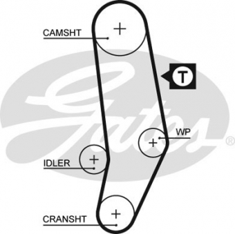CINGHIA SERVIZI AUSILIARI