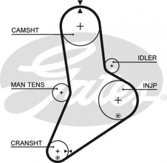 CINGHIA SERVIZI AUSILIARI