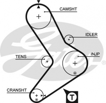CINGHIA SERVIZI AUSILIARI