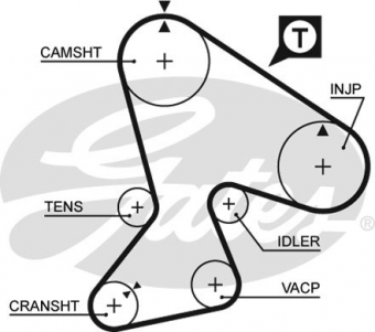 CINGHIA SERVIZI AUSILIARI
