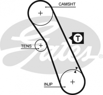 CINGHIA SERVIZI AUSILIARI