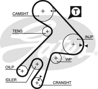 CINGHIA SERVIZI AUSILIARI
