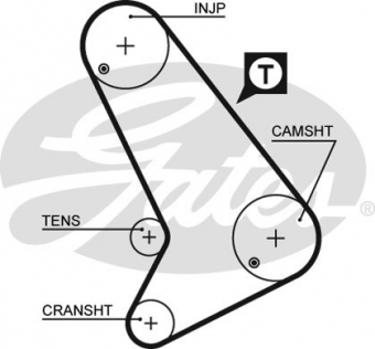 CINGHIA SERVIZI AUSILIARI