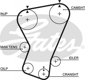 CINGHIA SERVIZI AUSILIARI