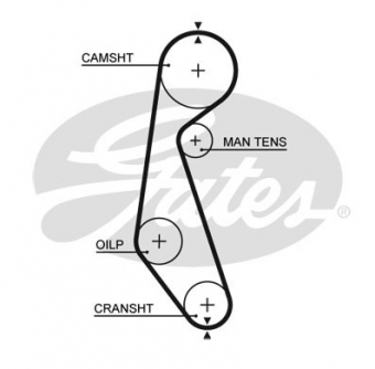 CINGHIA SERVIZI AUSILIARI