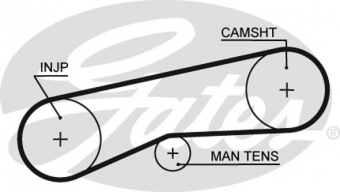 CINGHIA SERVIZI AUSILIARI