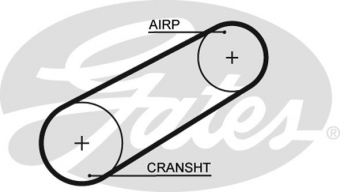 CINGHIA SERVIZI AUSILIARI