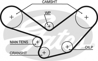 CINGHIA SERVIZI AUSILIARI