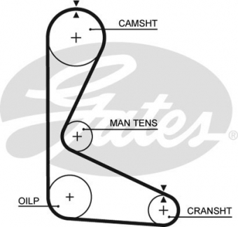 CINGHIA SERVIZI AUSILIARI