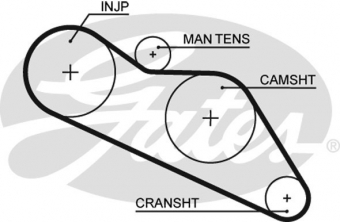 CINGHIA SERVIZI AUSILIARI