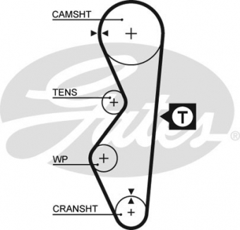 CINGHIA SERVIZI AUSILIARI