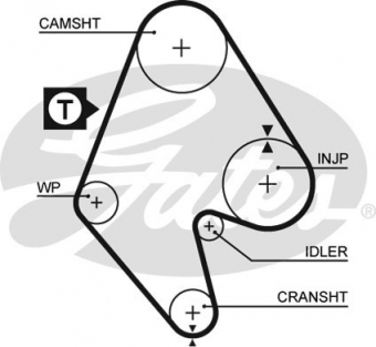 CINGHIA SERVIZI AUSILIARI
