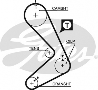 CINGHIA SERVIZI AUSILIARI