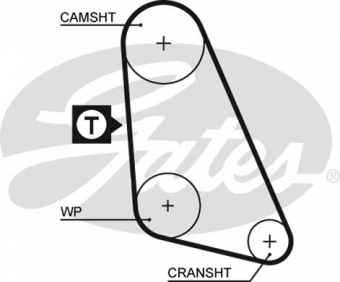 CINGHIA SERVIZI AUSILIARI
