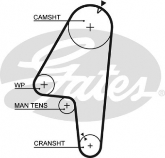 CINGHIA SERVIZI AUSILIARI