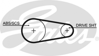 CINGHIA SERVIZI AUSILIARI