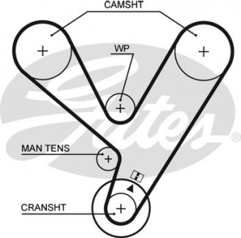 CINGHIA SERVIZI AUSILIARI