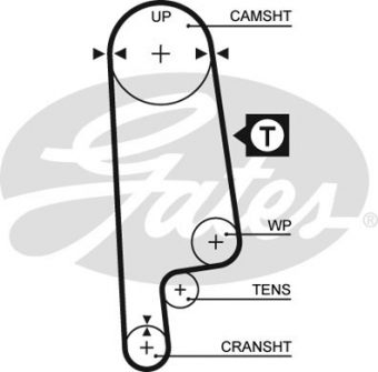 CINGHIA SERVIZI AUSILIARI