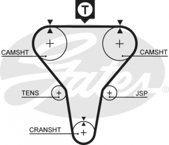 CINGHIA SERVIZI AUSILIARI
