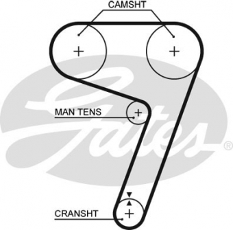 CINGHIA SERVIZI AUSILIARI