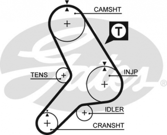 CINGHIA SERVIZI AUSILIARI