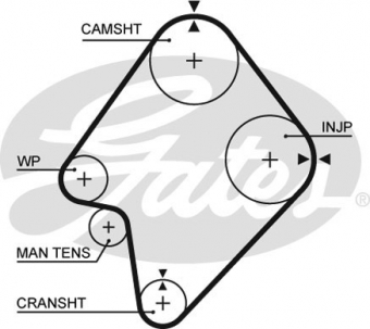 CINGHIA SERVIZI AUSILIARI