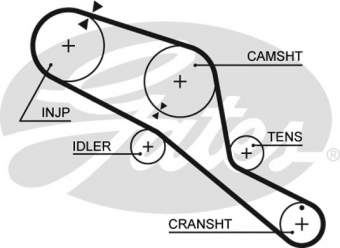 CINGHIA SERVIZI AUSILIARI