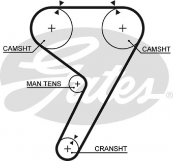 CINGHIA SERVIZI AUSILIARI