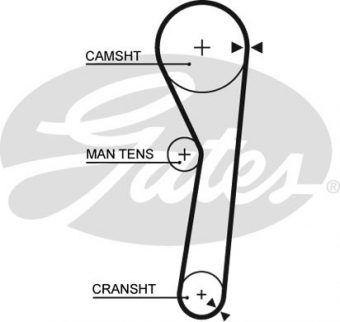 CINGHIA SERVIZI AUSILIARI